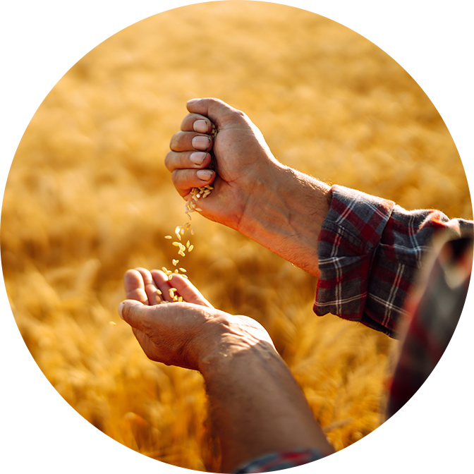 Ningbo Qibao Food Co., Ltd.